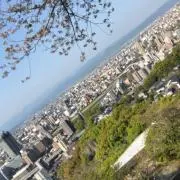 ぼーるまんの画像
