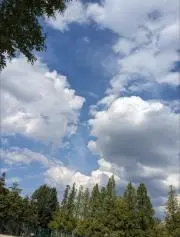 ゆみの画像