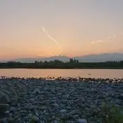 ハスクの画像