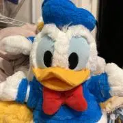 ぽんちゃんの画像