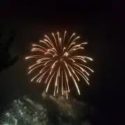 ぱんだの画像