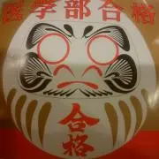 かしちゃんの画像