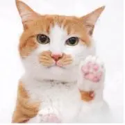 なつ