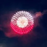 レイちゃんの画像