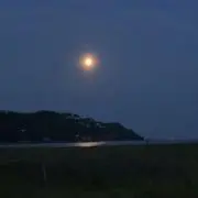 ちゃどちゃの画像
