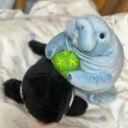 もるの画像