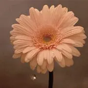 ニコニコママ♡