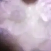 かにひゆ