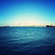 ぎんの画像