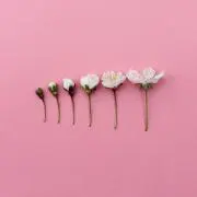 えぴ