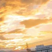 marimoの画像