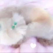 スマイルmの画像