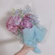 ぽよの画像