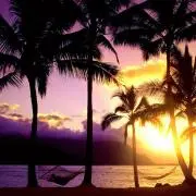 ALOHA-SURFRIDERの画像