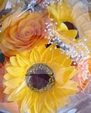 いっちゃん  即購入◎24時間以内発送可