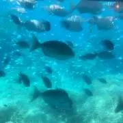 ちっちち♡   断捨離中です！！の画像