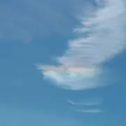 nicoの画像