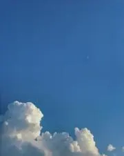 Kenyaの画像