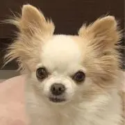 Rickの画像