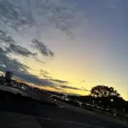 いちごの画像