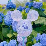 May| 即〜翌日発送の画像