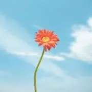 おてぃん