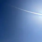 プロフ確認して下さい⭐︎ぽちぐるみ⭐︎の画像