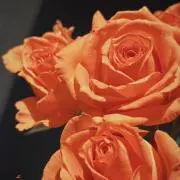 AM17:29【基本的にお値下げ⭕️】の画像