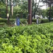 KIKIの画像