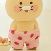 チュンシギの画像