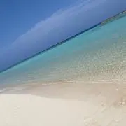 ほぐし太郎