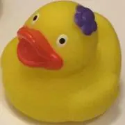 さくら