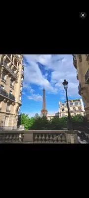 チーズの画像