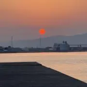 アルカリの画像