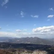 CC14の画像