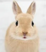断捨離中