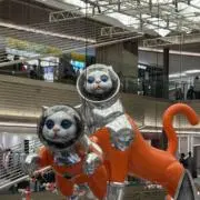 ガリの画像