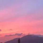 たいの画像