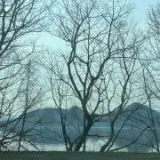 シンの画像