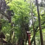 papi プロフ必読の画像