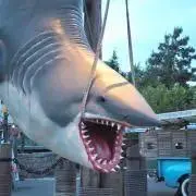 Hanapunの画像