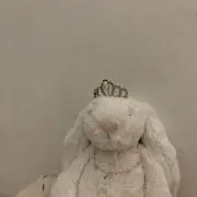 ちゃんぴぴの画像