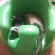 るぅ