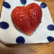 シムの画像