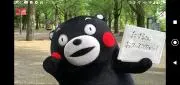 まるとも