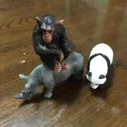 ゆきの画像