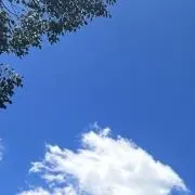 かまの画像