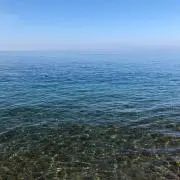 ゆうの画像