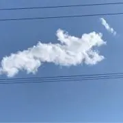エンジェルさんの画像