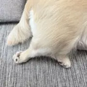 なっつの画像